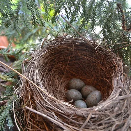 Skiprivat Penzion 4*